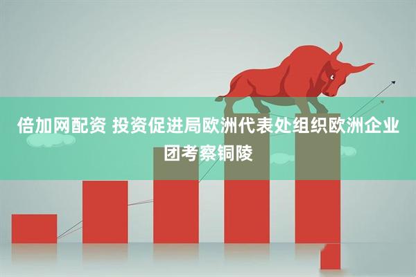 倍加网配资 投资促进局欧洲代表处组织欧洲企业团考察铜陵