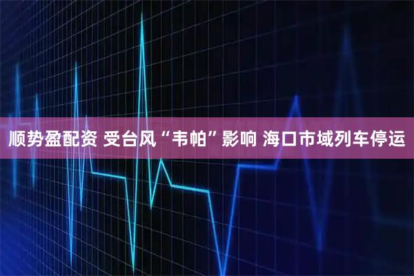 顺势盈配资 受台风“韦帕”影响 海口市域列车停运