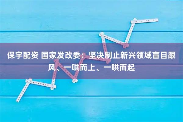保宇配资 国家发改委：坚决制止新兴领域盲目跟风、一哄而上、一哄而起